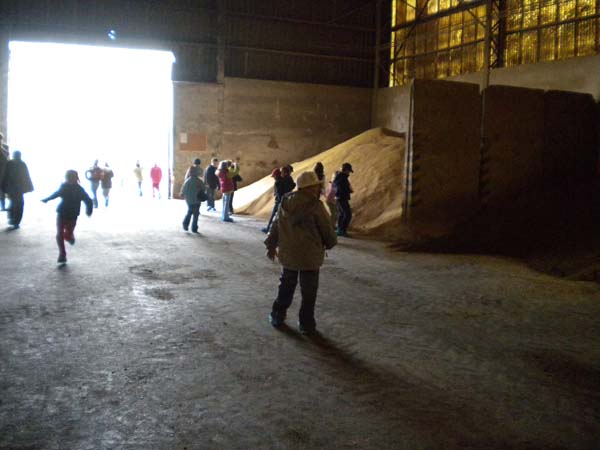 Deti za kravou 079 A von z kuchyne